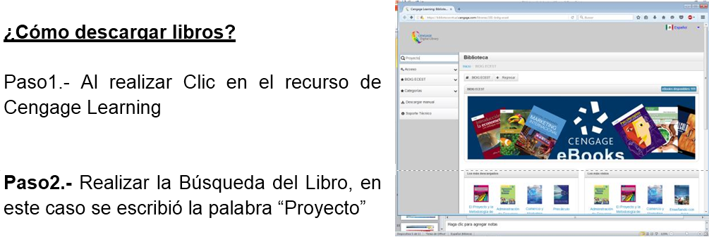 bdigital6.png