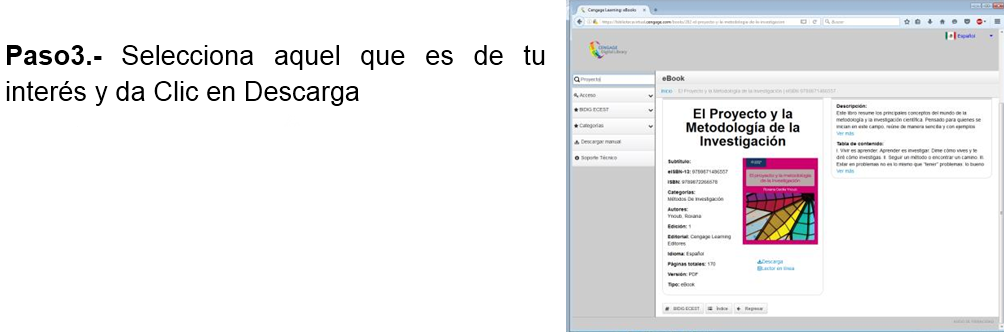 bdigital7.png