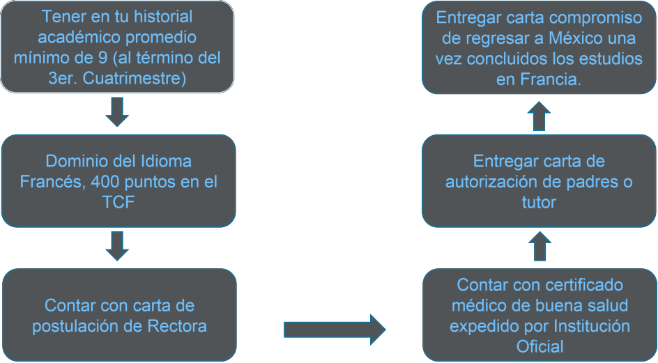 diagrama_de_flujo.png