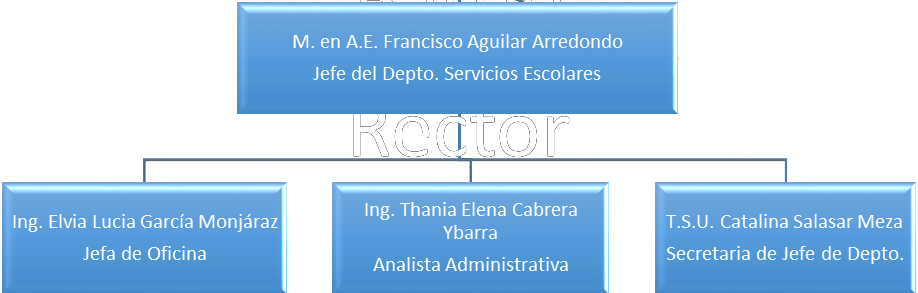 organigrama_se.png